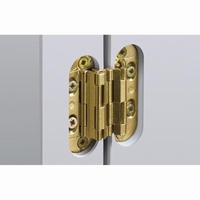Onzichtbaar scharnier 39x9mm