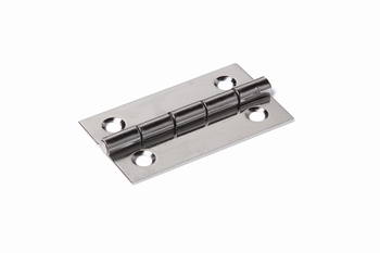 RVS scharnier met vaste rvs pen 30x20x0,8mm